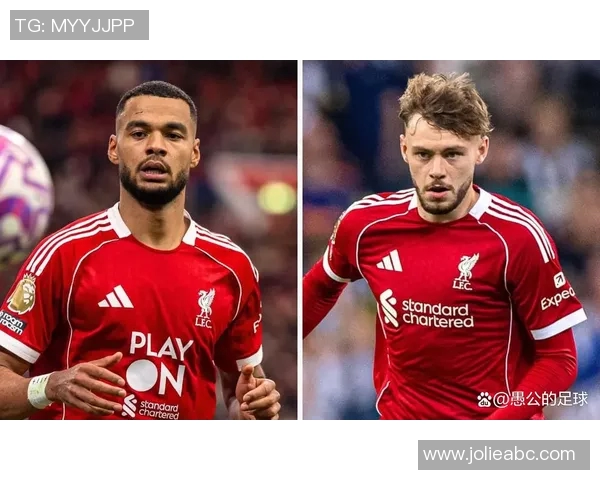 利物浦伤情更新:复出时间仍未确定 利物浦伤情更新:复出时间仍未确定